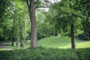 Ferienwohnung am Bienertpark